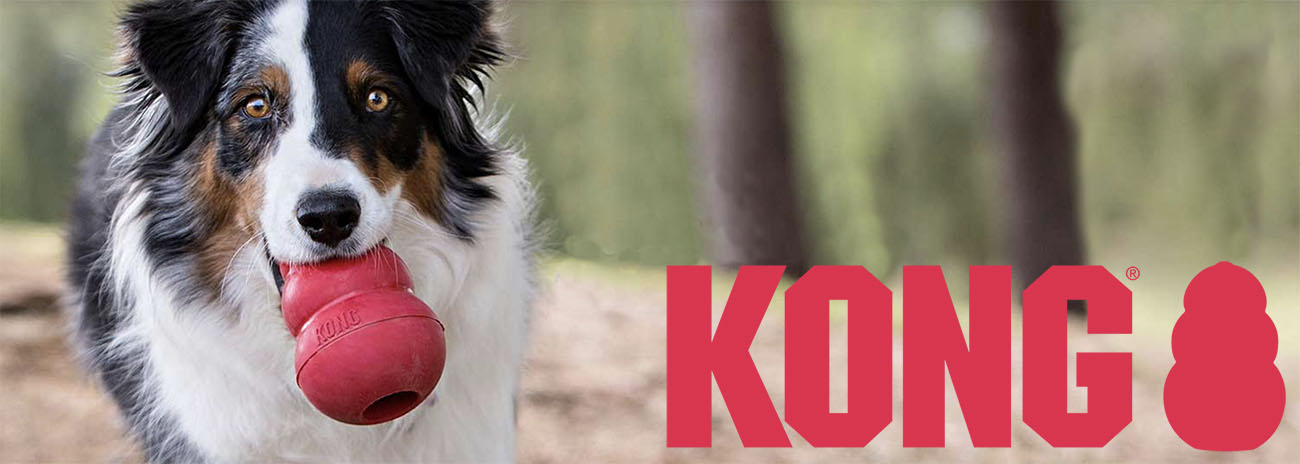 Kong dog toy store company